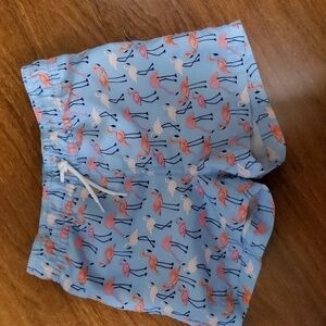 Janie & Jack toddler swin trunk 12-18 M